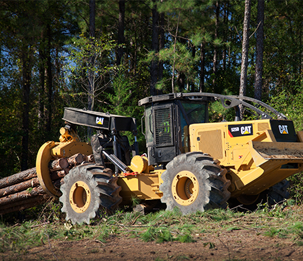 forestry-440-x-380