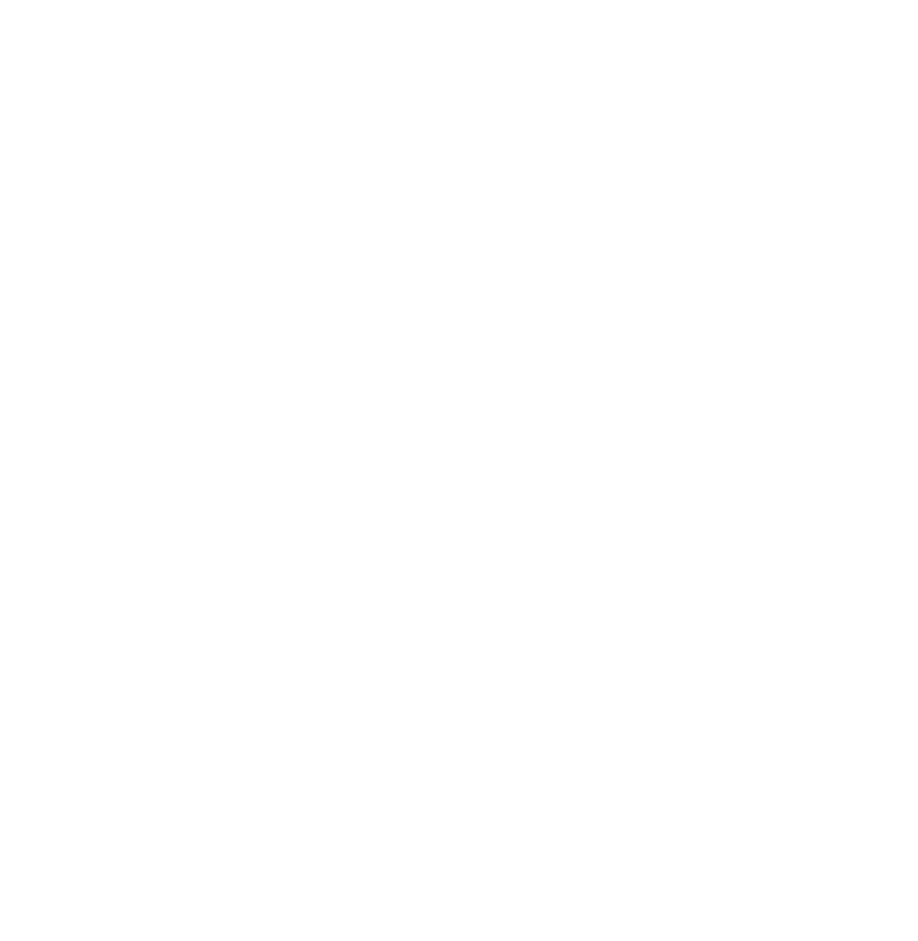 CVA White Logo